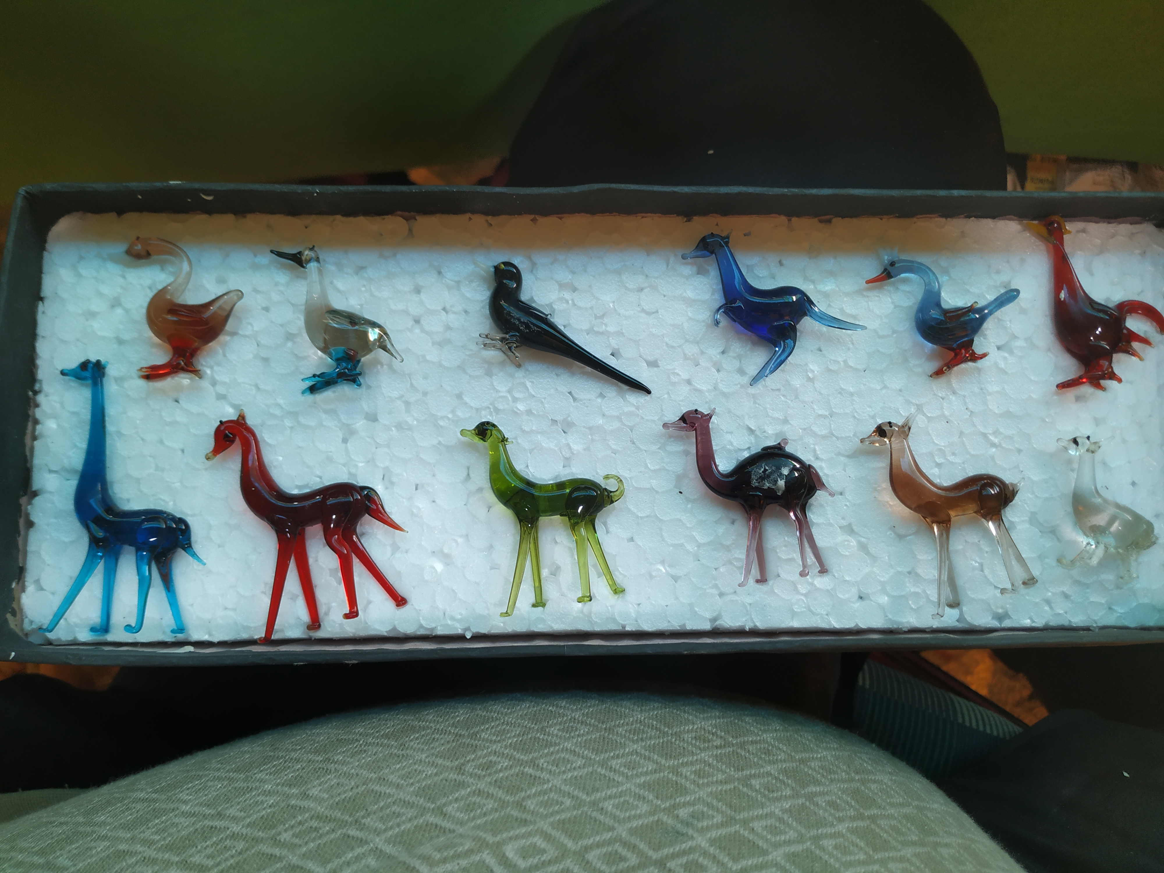 Toy set Animal,Birds